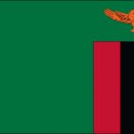 Zambia Flag
