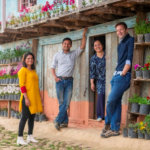 Screenshot 2021-02-04 at 12.01.37